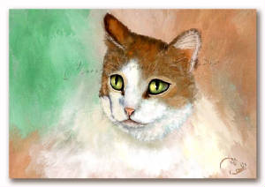 turbo, cat, art, painting, pet portraits